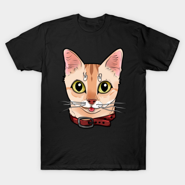 Singapura cat face Cats Kitty funny Comic Cartoon